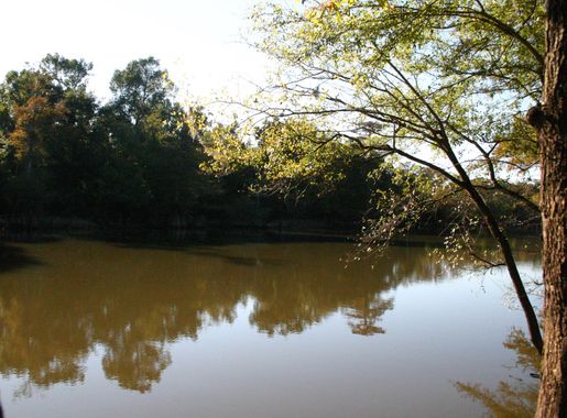 Santee River - Wikipedia