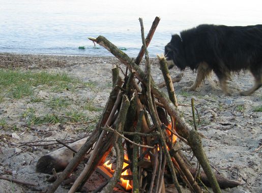 File:Switzerland-Lausanne-Vidy-Camp-Fire.jpeg - Wikimedia Commons
