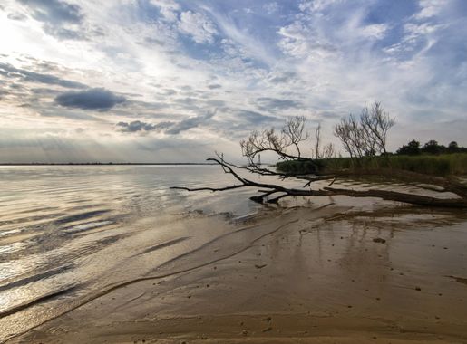 Shoreline with clouds in the sky during late afternoon image - Free stock  photo - Public Domain photo - CC0 Images
