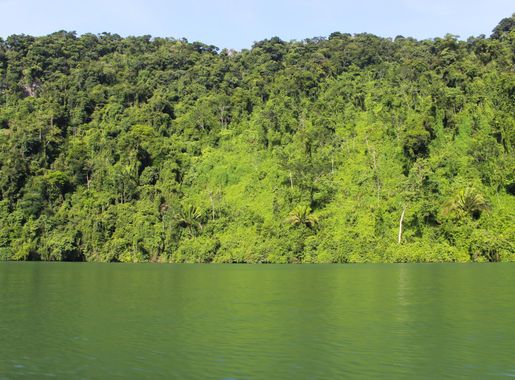 File:Green Río Dulce (Unsplash).jpg - Wikimedia Commons