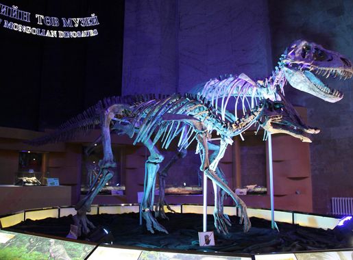 File:Tarbosaurus & Saurolophus.jpg - Wikimedia Commons