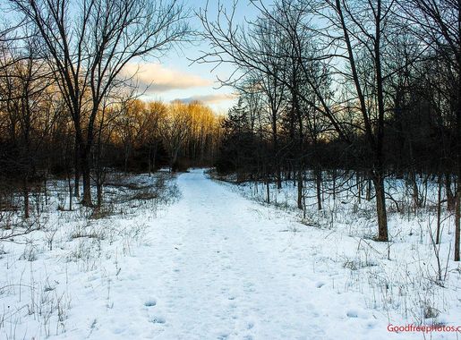 File:Afternoon On The Trail At Parfrey S Glen Wisconsi (143008249).jpeg -  Wikimedia Commons