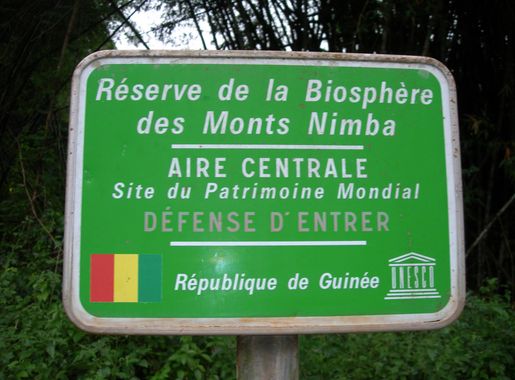 Mount Nimba Strict Nature Reserve - Wikipedia