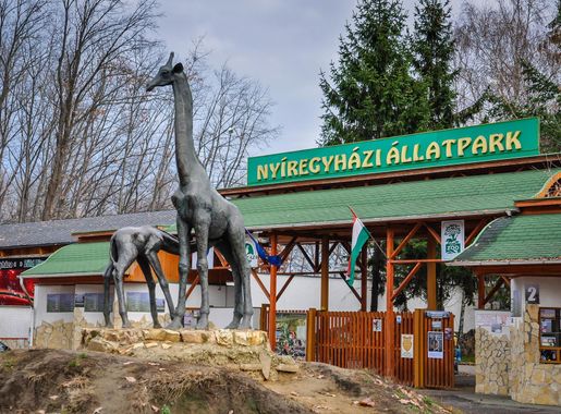 File:Nyiregyhaza Zoo, Hungary-1Dec2012.jpg - Wikimedia Commons
