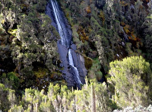 File:Waterfall along trail in Rwenzori mountains.jpg - Wikimedia Commons