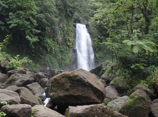 File:Trafalgar Falls at Morne Trois Pitons National Park.jpg - Wikipedia