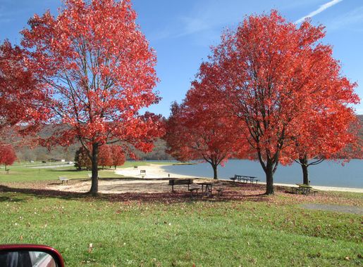 File:Bald Eagle State Park, Pennsylvania Fall Beach.JPG - Wikimedia Commons