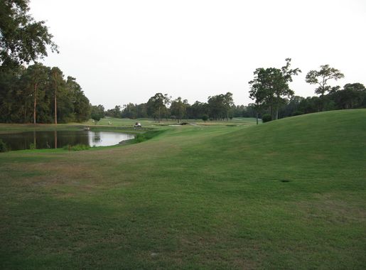File:The woodlands9 texas.jpg - Wikipedia