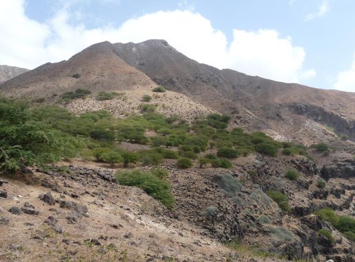 Ficheiro:Monte Graciosa (9).jpg – Wikipédia, a enciclopédia livre