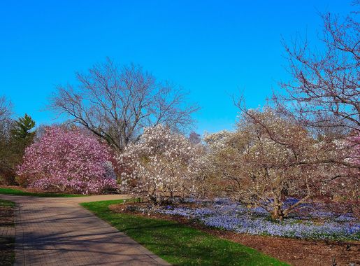 File:Olbrich Botanical Gardens - panoramio (2).jpg - Wikimedia Commons