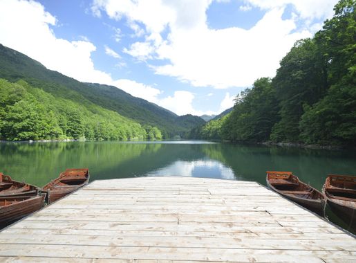 File:Beauty of National Park Biogradska Gora, Montenegro 02.jpg - Wikipedia