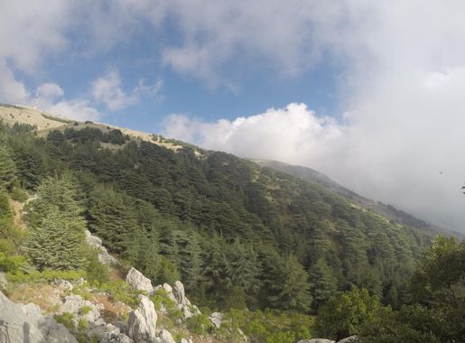 File:Shouf Biosphere Reserve 3-jpg.JPG - Wikimedia Commons
