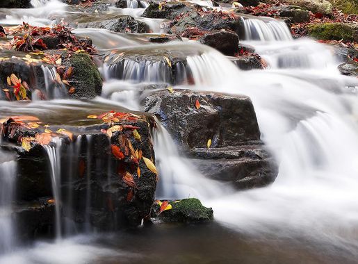 Free Images : landscape, nature, forest, rock, waterfall, river, valley,  stream, scenery, rapid, body of water, cool, break, autumn leaves, water  feature, watercourse, tabitha, healing 4300x2200 - - 646237 - Free stock  photos - PxHere
