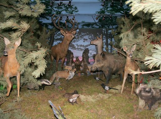 Plik:Smołdzino - Museum - Collections 07.jpg – Wikipedia, wolna encyklopedia