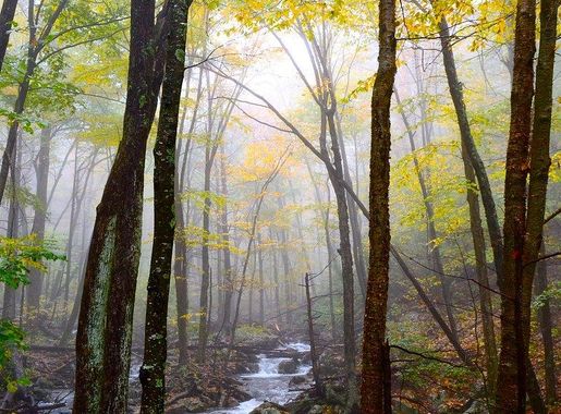 Public Domain Photography Waterfall Creative Commons Images | Free Photos,  PNG Stickers, Wallpapers & Backgrounds - rawpixel