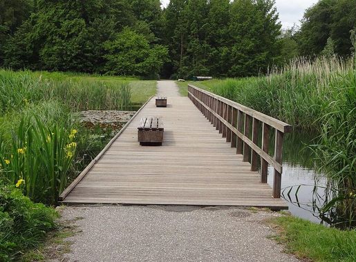 File:Naaldbomenpadvlonderbrug - Kralingse Bos- Kralingen-Crooswijk -  Rotterdam - 1.jpg - Wikimedia Commons