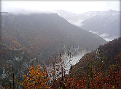 File:Rakitnica.jpg - Wikimedia Commons