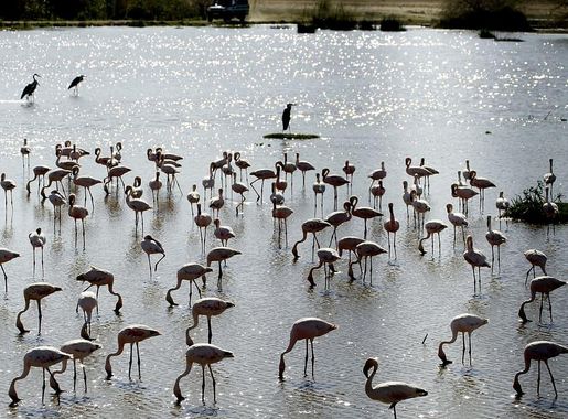 Tanzania 1080P, 2K, 4K, 5K HD wallpapers free download, sort by relevance |  Wallpaper Flare