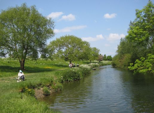 File:Banks of the Cam at Grantchester.jpg - Wikimedia Commons