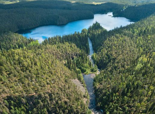 File:Oulankajoki and Savilampi in Oulanka National Park, Salla, Lapland,  Finland, 2021 June.jpg - Wikimedia Commons