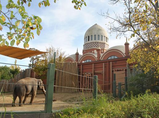 File:Cincinnati Zoo - Elephant House View 3.JPG - Wikimedia Commons