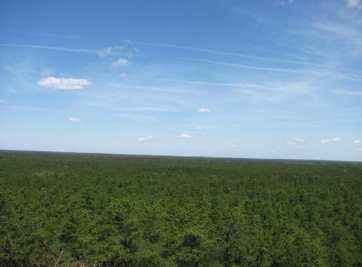 File:Apple Pie Hill Fire Tower.jpg - Wikimedia Commons