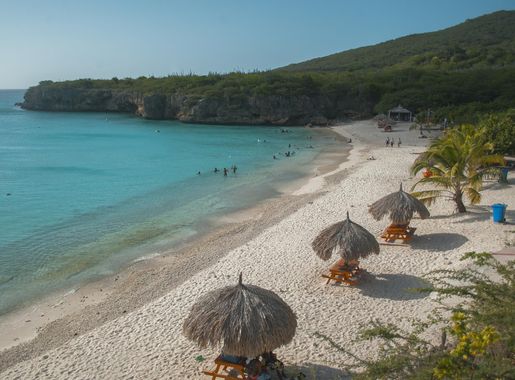 File:Grote Knip in Curacao.jpg - Wikimedia Commons