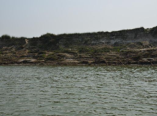 File:Padma River, Rajshahi (13).JPG - Wikimedia Commons