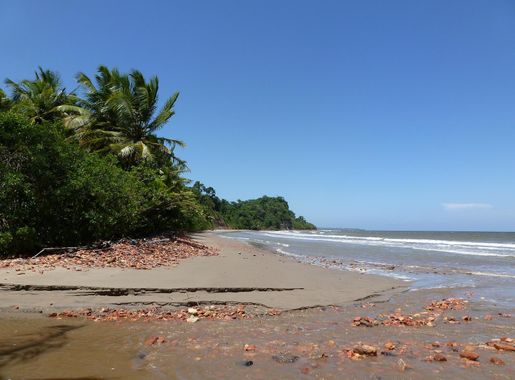 File:Chatham Beach, South Coast, Trinidad and Tobago.JPG - Wikimedia Commons