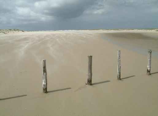 Fil:Rømø 2005.jpg - Wikipedia, den frie encyklopædi