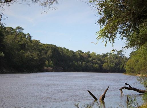 Waterway Corridor Units - Big Thicket National Preserve (U.S. National Park  Service)