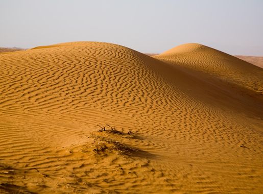 File:Wahiba Sands (29).jpg - Wikimedia Commons