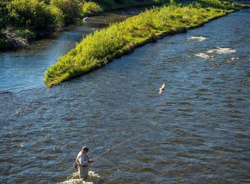 Creek Images | Free Photos, PNG Stickers, Wallpapers & Backgrounds -  rawpixel