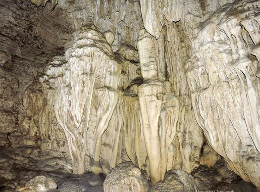 File:Lime Stone Caves, Baratang Island, UT of Andaman &Nicobar Islands,  India.JPG - Wikimedia Commons