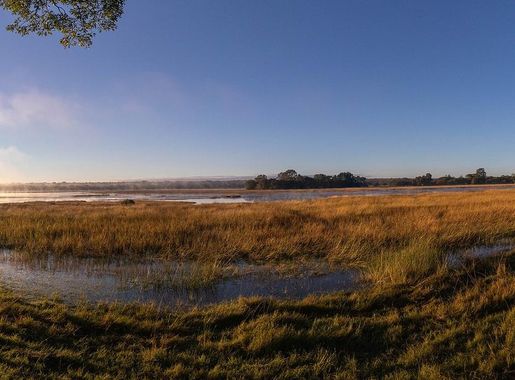 File:Kasanka NP Wasa Lake.jpg - Wikimedia Commons