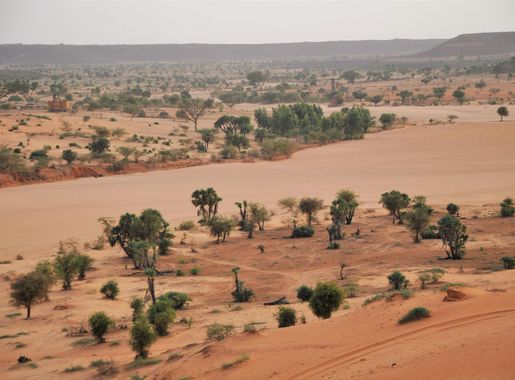File:Niger, Niamey, Dunes (3), landscape.jpg - Wikimedia Commons