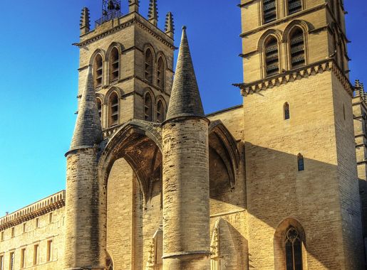 File:Cathédrale Saint-Pierre de Montpellier (2402940561).jpg - Wikipedia