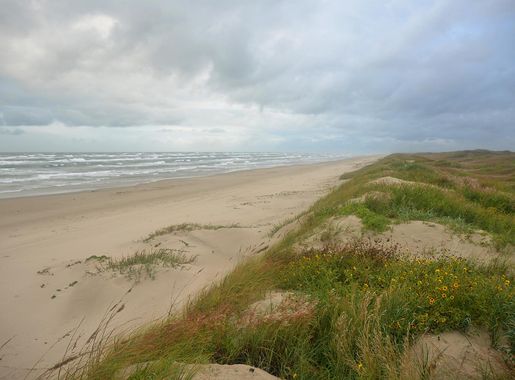 File:Padre Island National Seashore, beach, Kleberg Co, TX; 1 Nov 2022.jpg  - Wikipedia