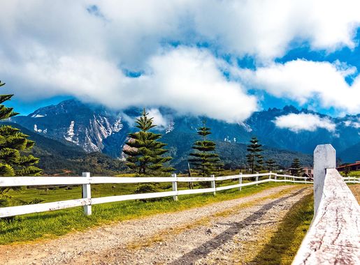 File:Kundasang - Desa Cattle Dairy Farm, Sabah, Malaysia.jpg - Wikimedia  Commons