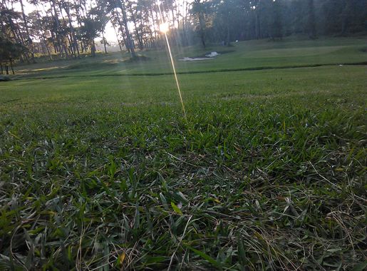 File:Shillong golf course(Golflinks).jpg - Wikimedia Commons