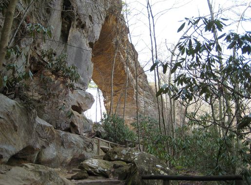 File:Natural Bridge, Daniel Boone National Forest.JPG - Wikimedia Commons