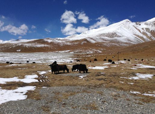 File:Khunjerab Pass Shaheer.JPG - Wikimedia Commons