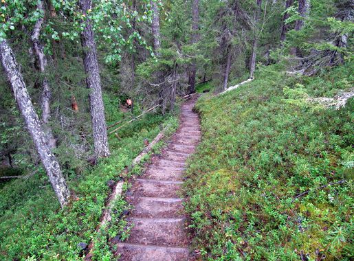 File:80km Karhunkierros Hiking Trail.jpg - Wikimedia Commons