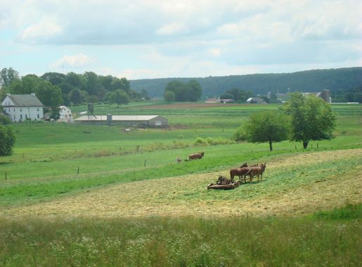 File:Amish Farm Lancaster County, PA 6.jpg - Wikimedia Commons