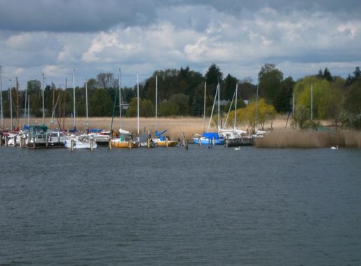 File:Lübeck-herreninsel-südseite-schilf.JPG - Wikimedia Commons