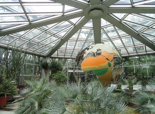 File:Palmengarten Frankfurt - DSC01655.JPG - Wikimedia Commons