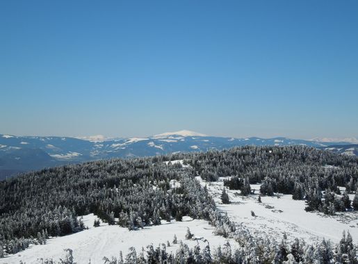 Súbor:Skalisko 006.JPG – Wikipédia