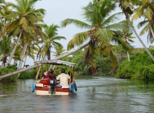 File:Poovar backwaters boat ride, Kerala, India.jpg - Wikimedia Commons