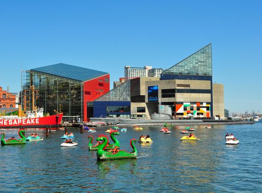 File:BaltimoreNationalAquarium.JPG - Wikipedia