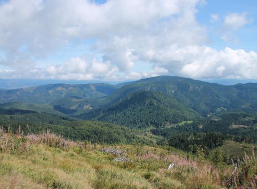 File:Muránská planina, 01 – Fabova hoľa, 2019 (08).jpg - Wikimedia Commons